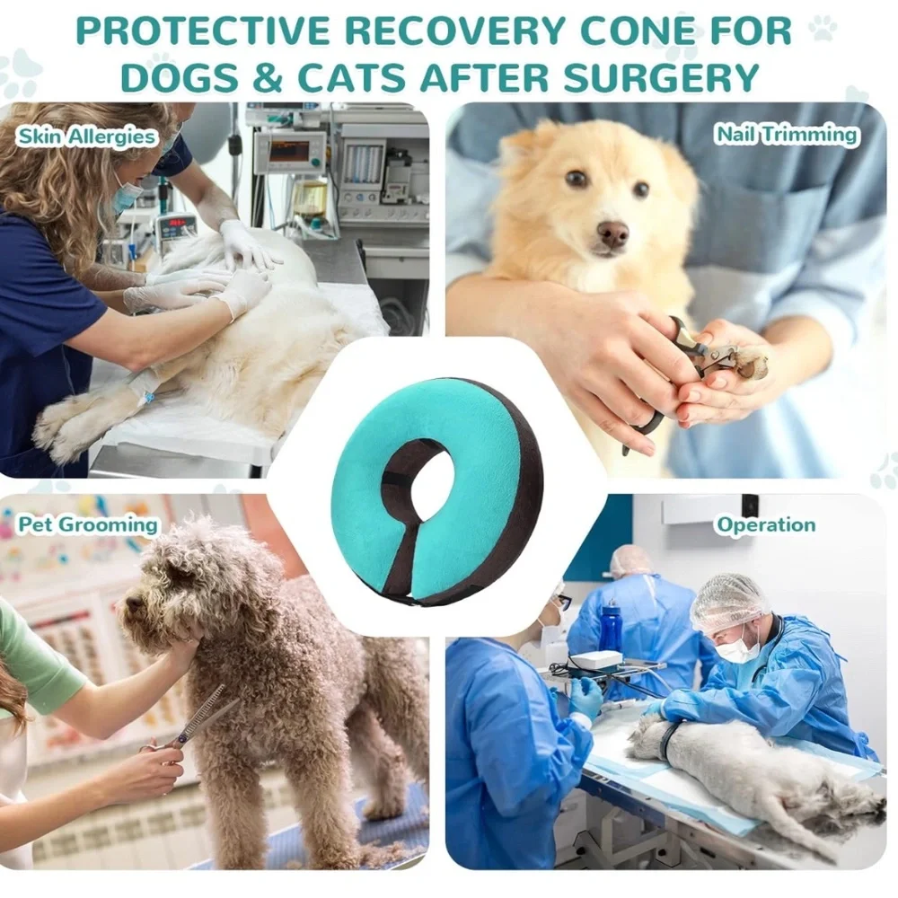Bilibara Inflatable Dog Collar Size Medium Teal Color Recovery Surgery Cone New